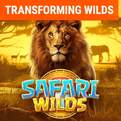 Safari Wilds 