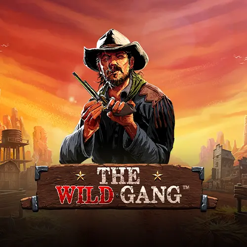 The Wild Gang 