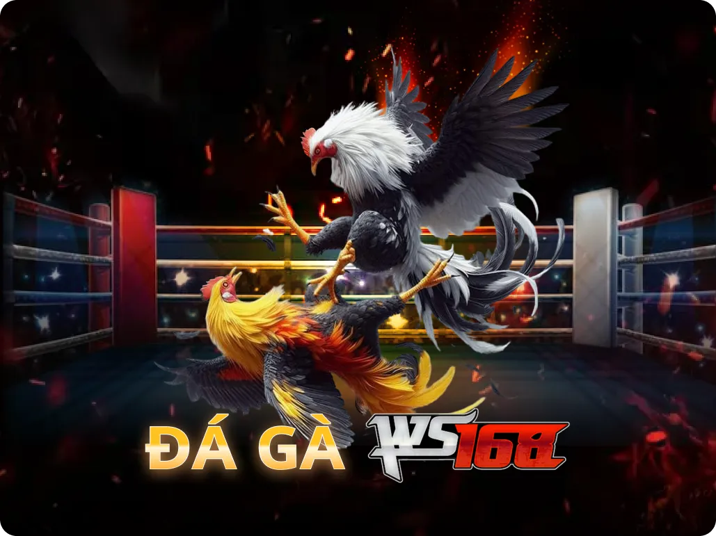 Đá Gà WS168 