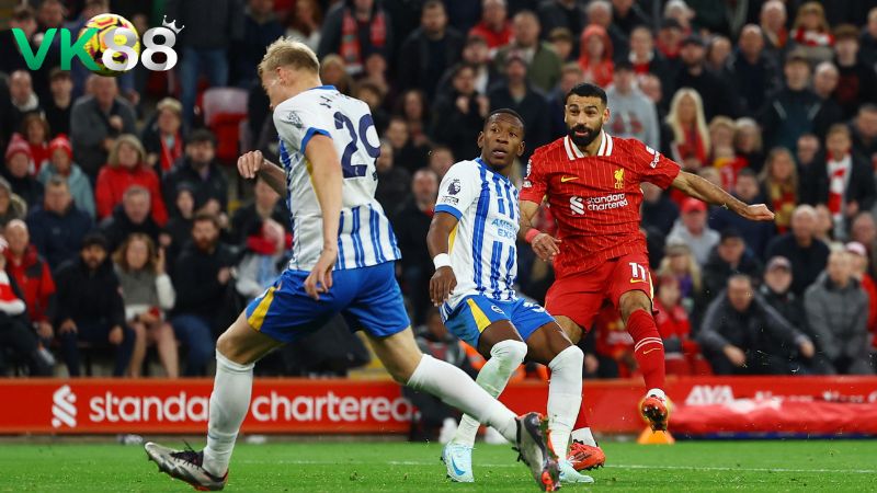 Lịch sử đối đầu Liverpool vs Brighton