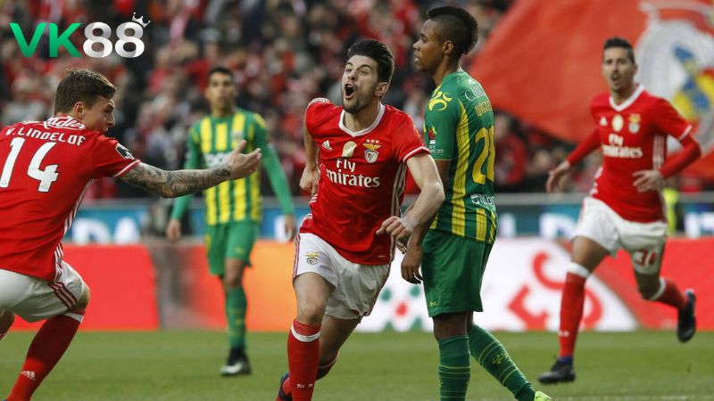 Lịch sử đối đầu Tondela vs Benfica
