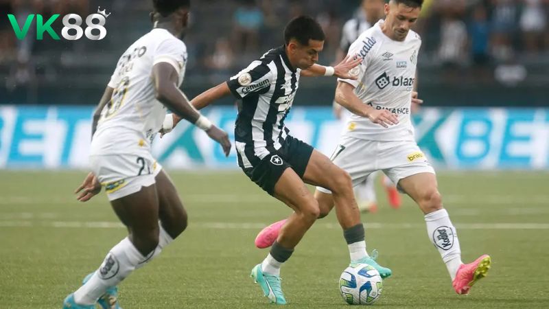 Lịch sử đối đầu Botafogo RJ vs Santos
