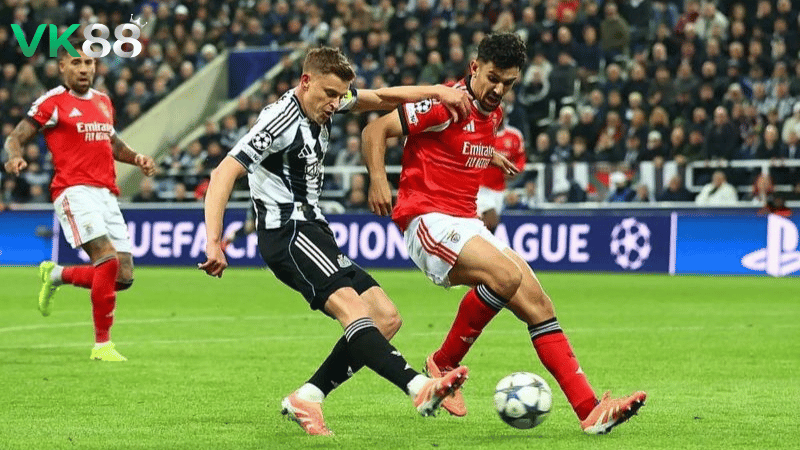 Lịch sử đối đầu Qarabag vs Newcastle United