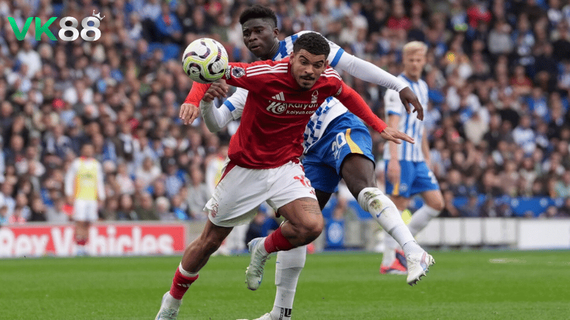 Lịch sử đối đầu Brighton vs Nottingham