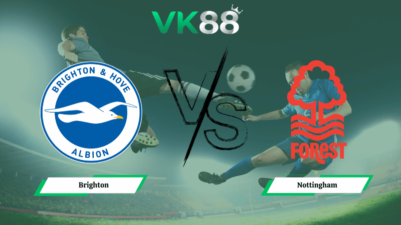 Nhận định soi kèo Brighton vs Nottingham 21h00 ngày 01/03/2026