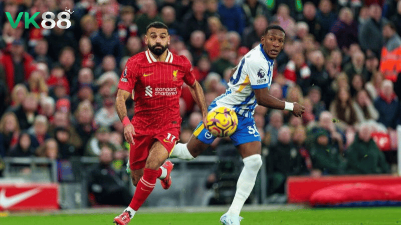 Lịch sử đối đầu Liverpool vs Brighton