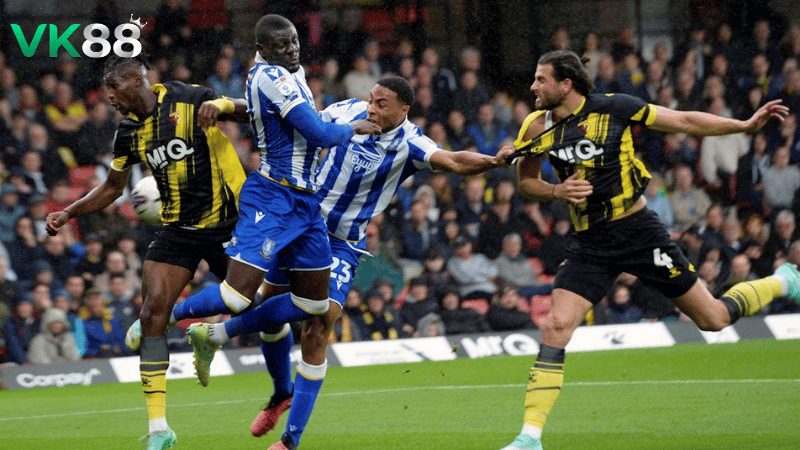 Lịch sử đối đầu Sheffield Wed vs Watford