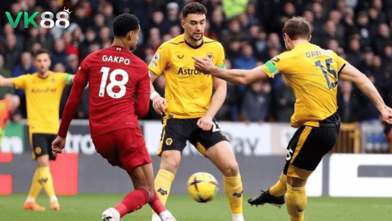 Lịch sử đối đầu Wolves vs Liverpool 