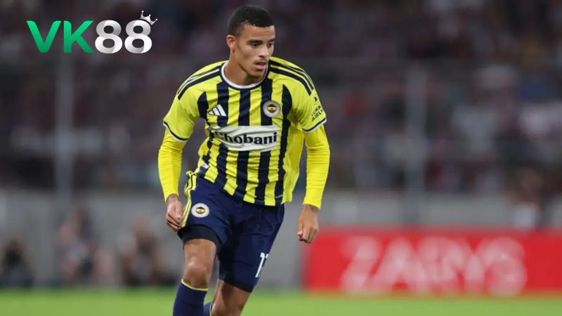 Lịch sử đối đầu Fenerbahce vs Sturm Graz