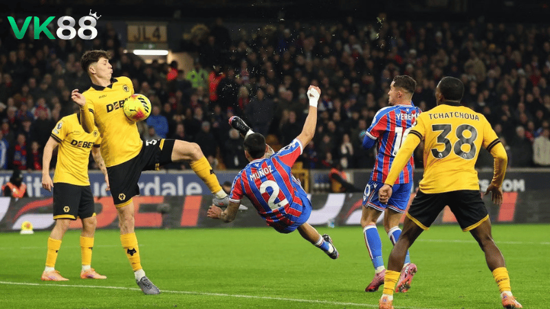 Lịch sử đối đầu Crystal Palace vs Wolves 