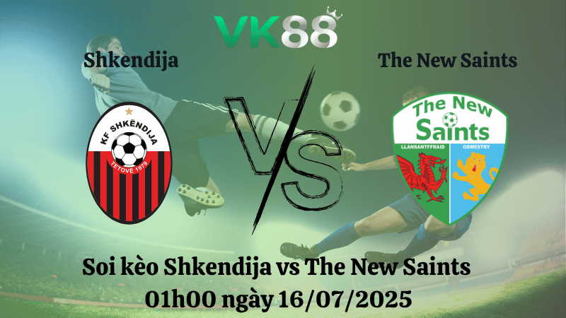 Nhận định soi kèo Shkendija vs The New Saints 01h00 ngày 16/07/2025 - Champions League VK88
