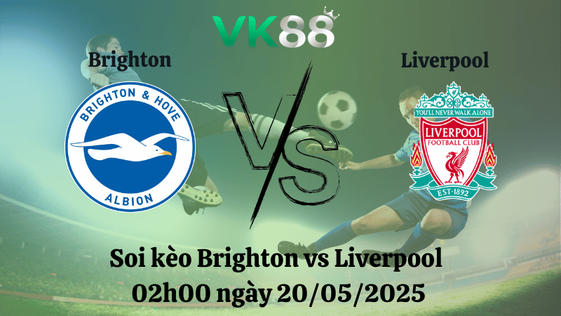 Nhận định soi kèo Brighton vs Liverpool 02h00 ngày 20/05/2025 - Ngoại hạng Anh