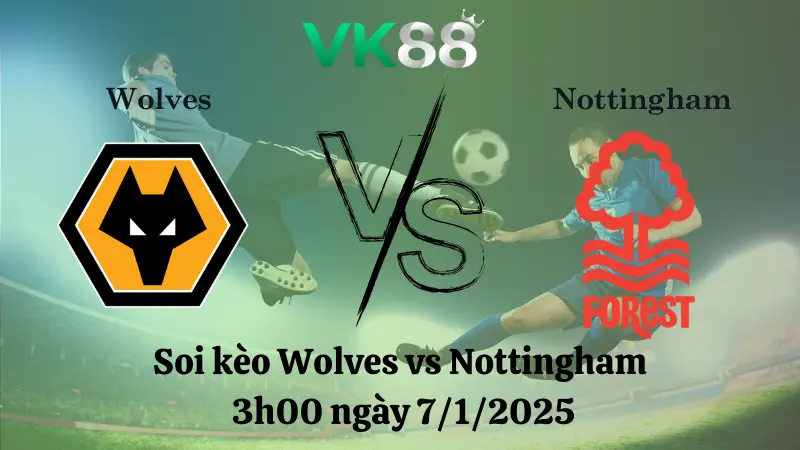 Nhận định soi kèo Wolves vs Nottingham 3h00 ngày 7/1/2025 - Ngoại Hạng Anh